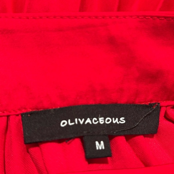 OLIVACEOUS Sz M Pleated Red Maxi Dress Unlined Zipper Closure Very Long Skirt - Picture 7 of 9